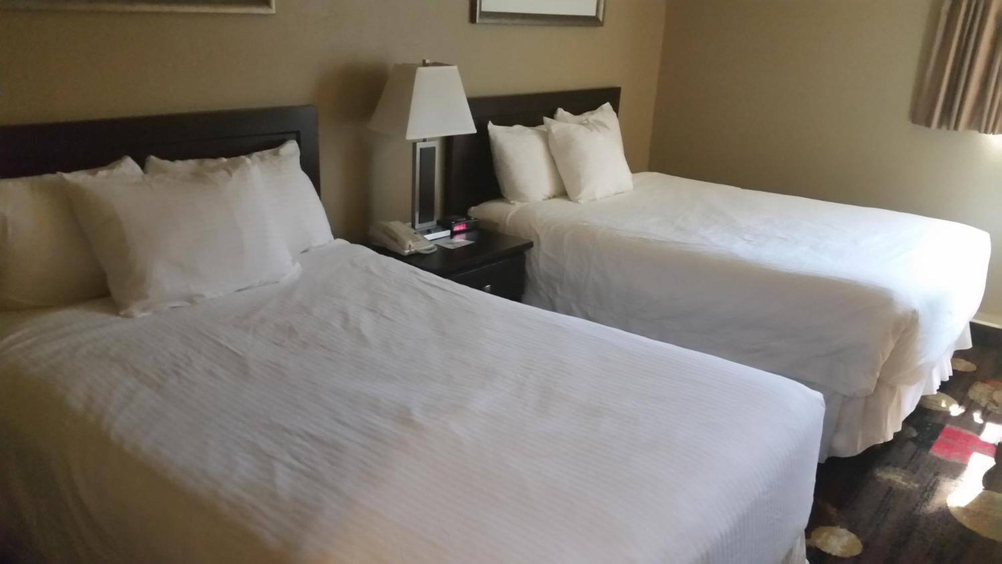 Stonebridge Hotel Fort Mcmurray Pokój zdjęcie